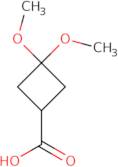 3,3-Dimethoxycyclobutanecarboxylicacid