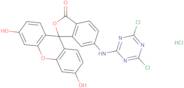 6-([4,6-Dichlorotriazin-2-yl]amino)fluoresceinHydrochloride