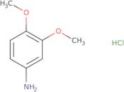 3,4-Dimethoxy anilineHydrochloride
