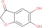 5,6-Dihydroxybenzofuran-3-one