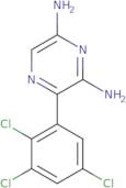 2,6-Diamino-3-(2,3,5-trichlorophenyl)-pyrazine