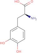 3,4-Dihydroxy-L-phenylalanine