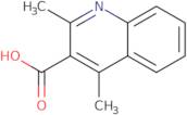 2,4-DIMETHYLQUINOLINE-3-CARBOXYLIC ACID