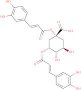 1,4-Dicaffeoylquinic acid