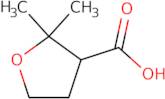 2,2-Dimethyltetrahydrofuran-3-carboxylic acid