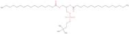 1,2-Dipalmitoyl-rac-glycero-3-phosphocholine