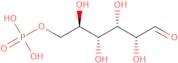 D-Glucose 6-phosphate - Powder