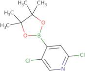 2,5-Dichloropyridine-4-boronic acid, pinacol ester