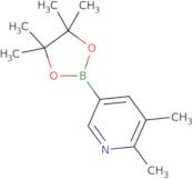 2,3-Dimethylpyridine-5-boronic acid pinacol ester