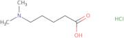 5-(Dimethylamino)pentanoic acid HCl