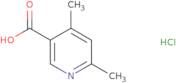 4,6-Dimethyl-3-pyridinecarboxylic acid hydrochloride