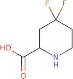 4,4-Difluoropiperidine-2-carboxylic acid