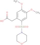 2-(4,5-dimethoxy-2-(morpholin-4-ylsulfonyl)phenyl)acetic acid