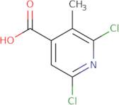 2,6-Dichloro-3-methylisonicotinic acid