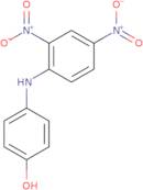 4-(2,4-Dinitroanilino)phenol