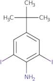 4-(1,1-Dimethylethyl)-2,6-diiodo-benzenamine