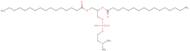 1,2-Dipalmitoyl-rac-glycero-3-phospho-N,N-dimethylethanolamine