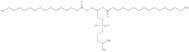 1,2-Dipalmitoyl-sn-glycero-3-phospho-N,N-dimethylethanolamine