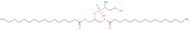 1,3-Dipalmitoyl-glycero-2-phospho-N-methylethanolamine