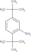 2,5-Di-tert-butylaniline