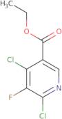 Ethyl 4,6-Dichloro-5-fluoronicotinate