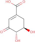 (-)-3-Dehydro shikimic acid