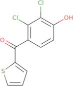 (2,3-Dichloro-4-oxyphenyl)-2-thienylmethanone