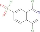 1,4-Dichloro-7-isoquinolinesulfonyl chloride