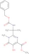 1,6-Dihydro-5-hydroxy-1-methyl-2-[1-methyl-1-[[benzylcarbamoyl]amino]ethyl]-6-oxo-4-pyrimidinecarboxylic acid methyl ester