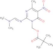 2-[(Dimethylamino)methylene]amino-3N-(pivaloyloxy)methyl-6-methyl-5-nitro-4-pyrimidinol