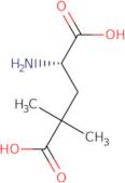 4-Dimethyl-L-glutamic acid