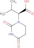 (S)-2-(2,4-Dioxo-tetrahydropyrimidin-1-yl)-3-methylbutyric acid