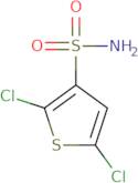 2,5-Dichlorothiophene-3-sulfonamide