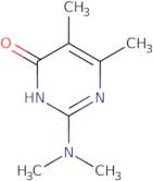2-(Dimethylamino)-5,6-dimethyl-1H-pyrimidin-4-one