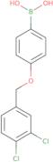 4-(3,4-Dichlorophenylmethoxy)phenylboronic acid