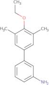 3-(3,5-Dimethyl-4-ethoxyphenyl)aniline