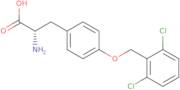 O-2,6-Dichlorobenzyl-L-tyrosine