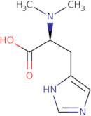 N,N-Dimethyl-histidine