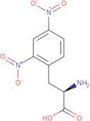 D-2,4-Dinitrophenylalanine