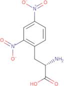 L-2,4-Dinitrophenylalanine