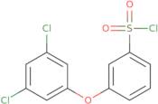 [3-(3,5-Dichlorophenoxy)Phenyl]Sulfonyl Chloride