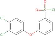 [3-(3,4-Dichlorophenoxy)Phenyl]Sulfonyl Chloride