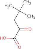 4,4-Dimethyl-2-oxo-pentanoic acid