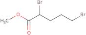 2,5-Dibromopentanoic acid methyl ester