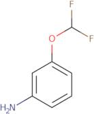 3-(Difluoromethoxy)aniline