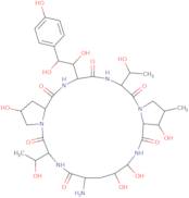 1-[(4R,5R)-4,5-Dihydroxy-L-ornithine]echinocandin B
