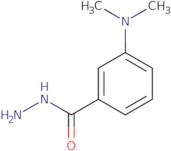 3-(N,N-Dimethylamino)benzhydrazide