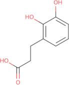 3-(2,3-Dihydroxyphenyl)propionic acid