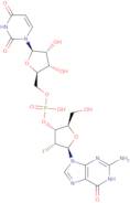 2'-Deoxy-2'-Fluoroguanylyl-(3'-5')Uridine