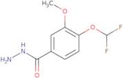 4-(Difluoromethoxy)-3-Methoxybenzohydrazide